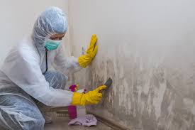 Mold Odor Removal Services in Atlantic Beach, NY